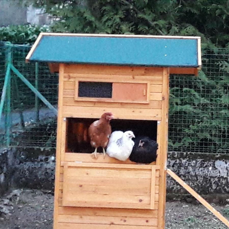 Gite "La 5Eme Saison" Attignat-Oncin Dış mekan fotoğraf